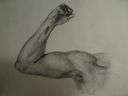 Arm Study